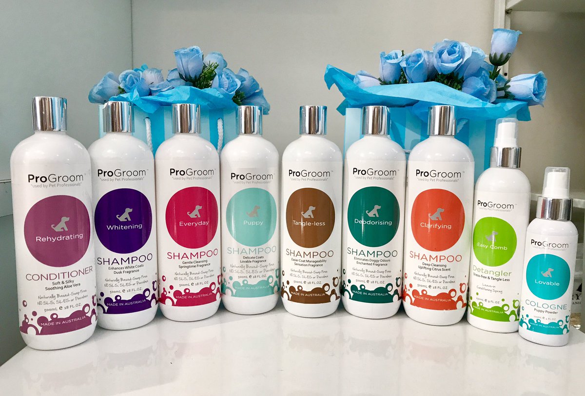 What shampoo can I use on my dog? Can I use human shampoo on my dogs?