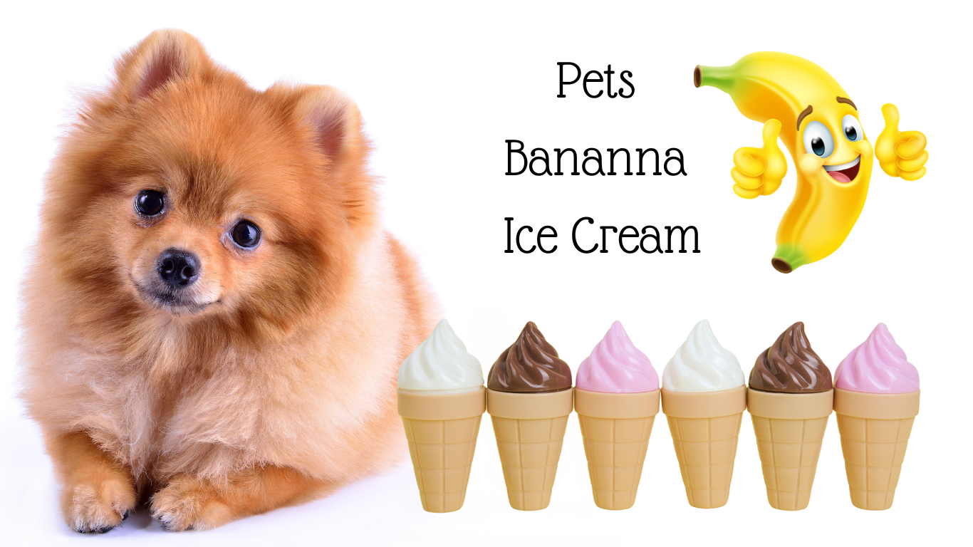 <BR>Bannana Ice Cream For Pets