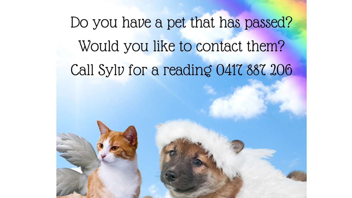 A Perspective on the Afterlife and Pets