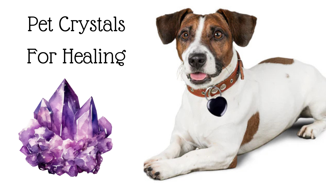 Pet Crystals For Healing
