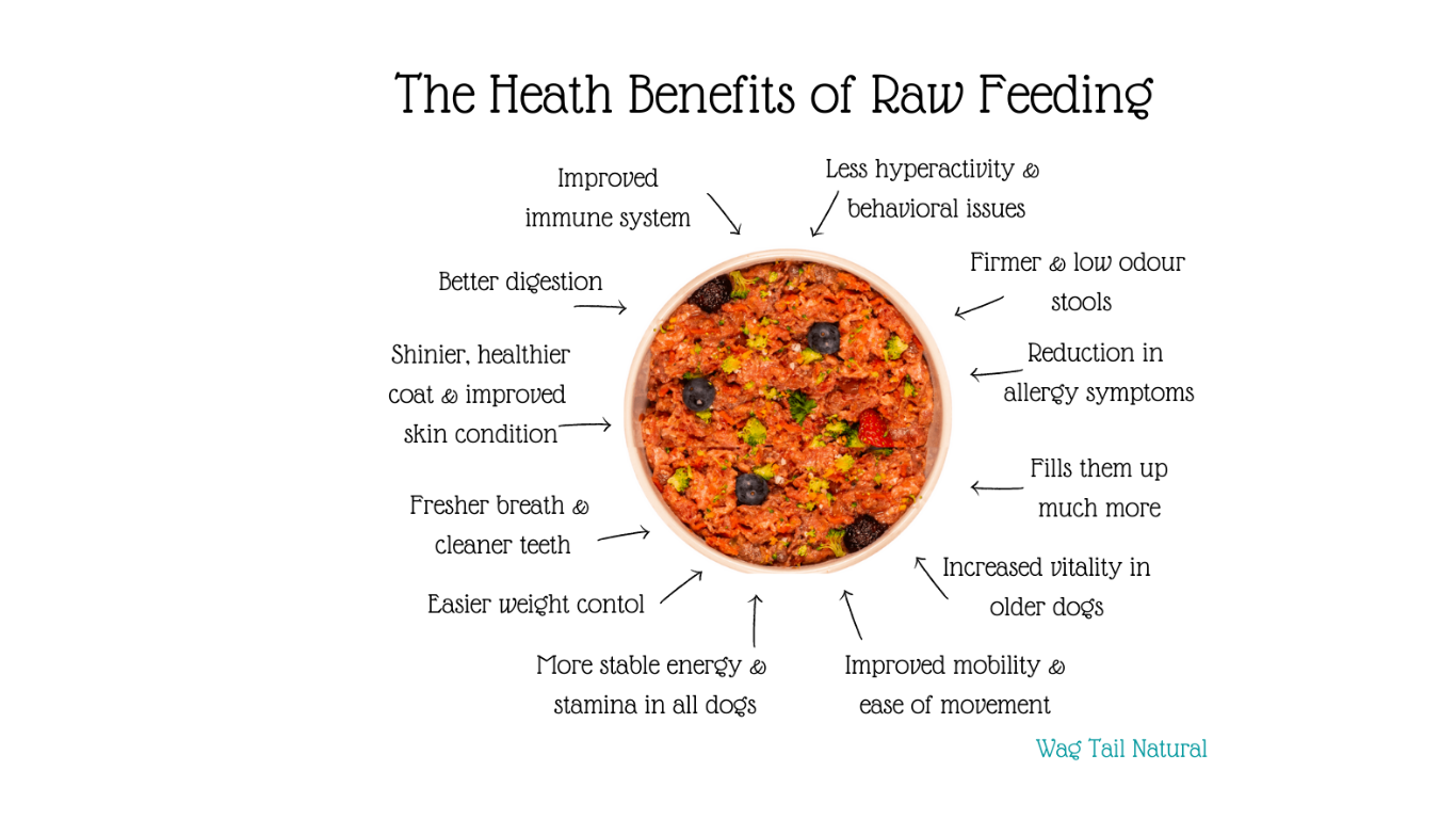 Why Raw Food Is Better For Your Pet