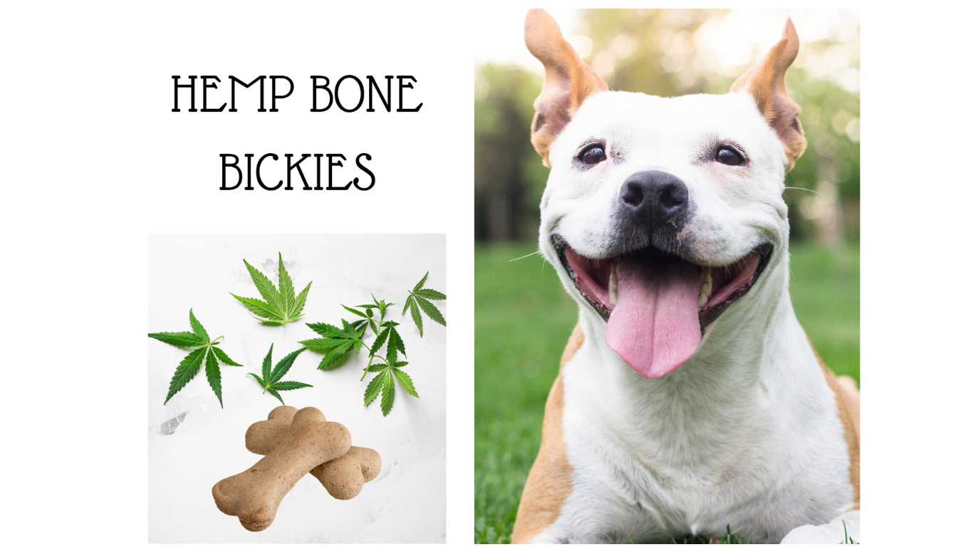 Easy To Make Hemp Treats