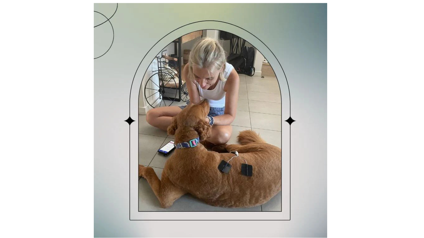 An Interview With A Pet Nutritionist (Ellie From Dogood)