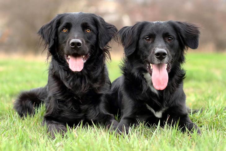 ALLERGY SEASON IS HERE