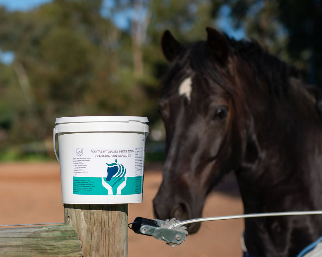 <BR>NEW Hemp Blend For All Animals