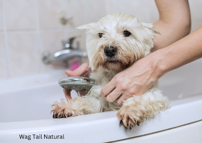 Natural Home Made Pet Shampoo For Pets