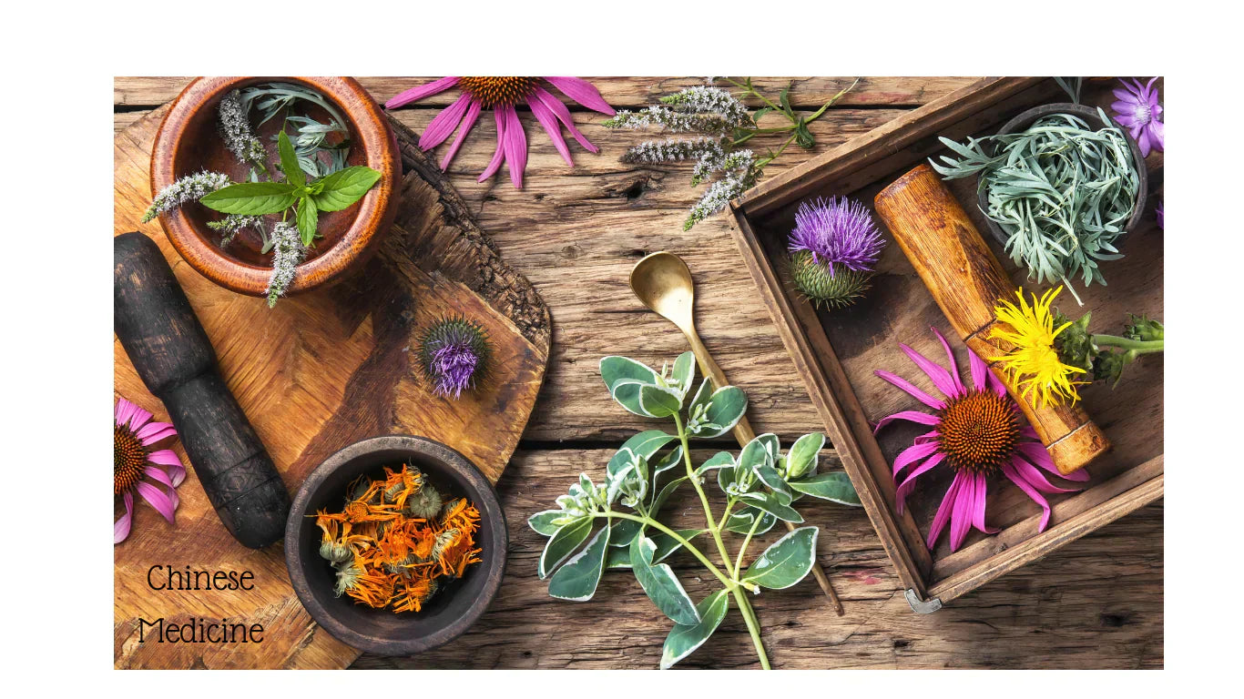 Is Chinese Medicine Good For Pets?  We explain Hot and Cold Dogs and How It Can Help