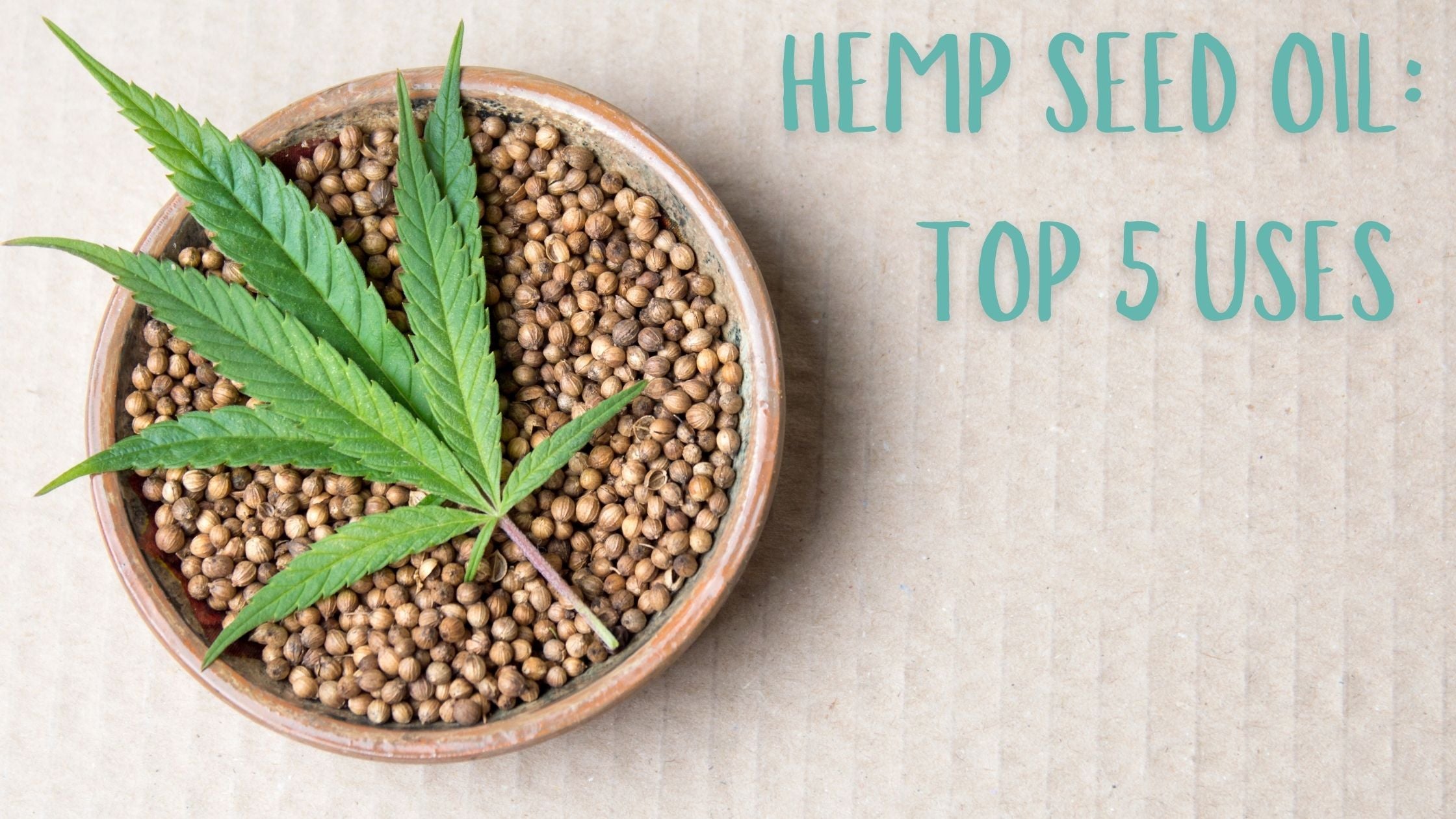 Hemp Oil For Dogs: Our TOP 5 uses