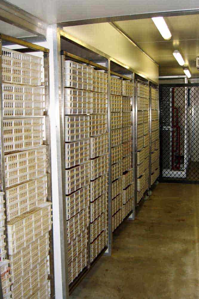 Why the treats we sell are the best choice for your pets