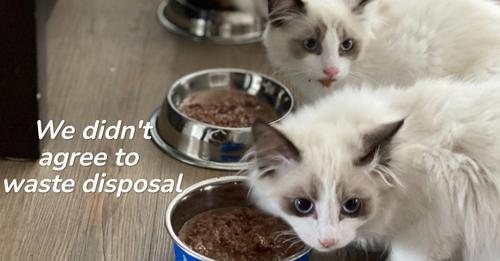 Your Pet Food Is Contaminated If Not Bought From Australia