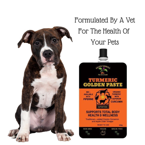 Turmeric Paste<BR>For Allergies and Arthritis Pain