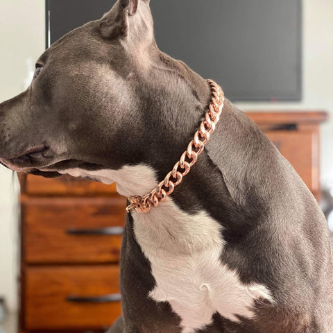 <BR>Copper Dog Collar | Multi-Benefit Pet Wellness Solution
