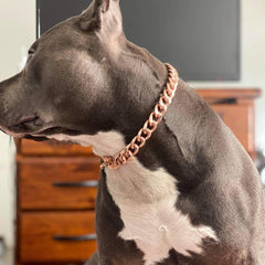 <BR>Copper Dog Collar | Multi-Benefit Pet Wellness Solution