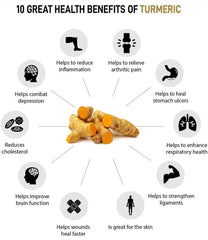 <BR>Turmeric Pet Paste | Natural Wellness Supplement