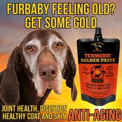 <BR>Turmeric Pet Paste | Natural Wellness Supplement