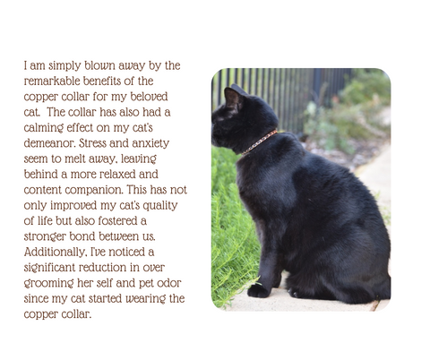 "Copper Cat Collars: Stylish Accessories for Feline Comfort, Safety and Pain Relief"