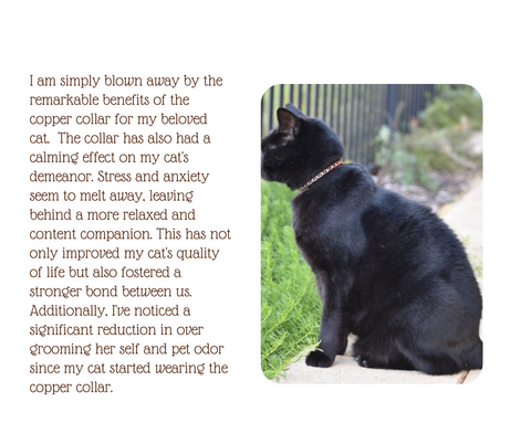 Copper Cat Collars: Stylish Accessories for Feline Comfort, Safety and Pain Relief