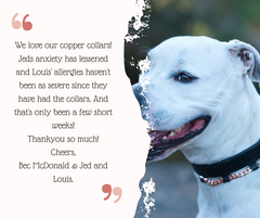 " Natural Healing Comfort: Leather and Nylon Copper Collars for Extra Wear and Comfort"