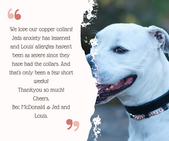 <BR>Copper Pet Collar  Leather & Nylon Healing Solution For your Pets