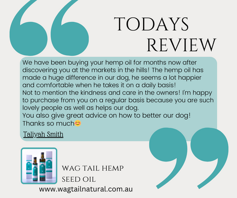 <BR>"Nature's Soothing Solution: The Healing Power of Hemp Seed Oil"