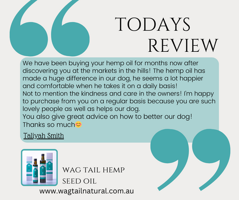 <BR> Cold Pressed Pure Hemp Seed Oil | Natural Pain & Immune Support