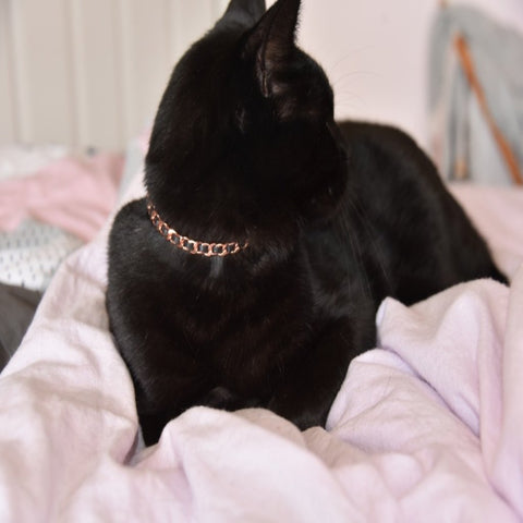 "Copper Cat Collars: Stylish Accessories for Feline Comfort, Safety and Pain Relief"