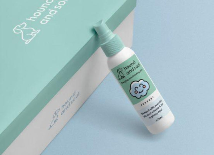 Purr-fume: Delightful Fragrances for Your Furry Friends