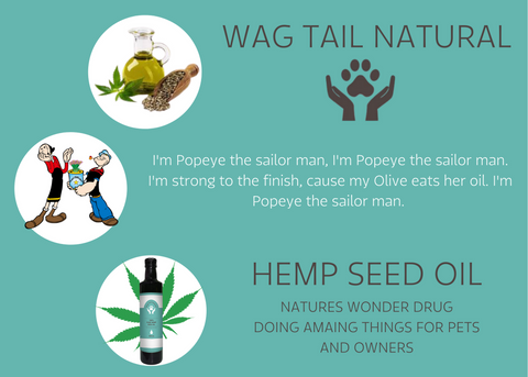 <BR>"Nature's Soothing Solution: The Healing Power of Hemp Seed Oil"