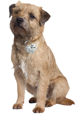 <BR>Howlite Crystal for Pet Calming & Grounding