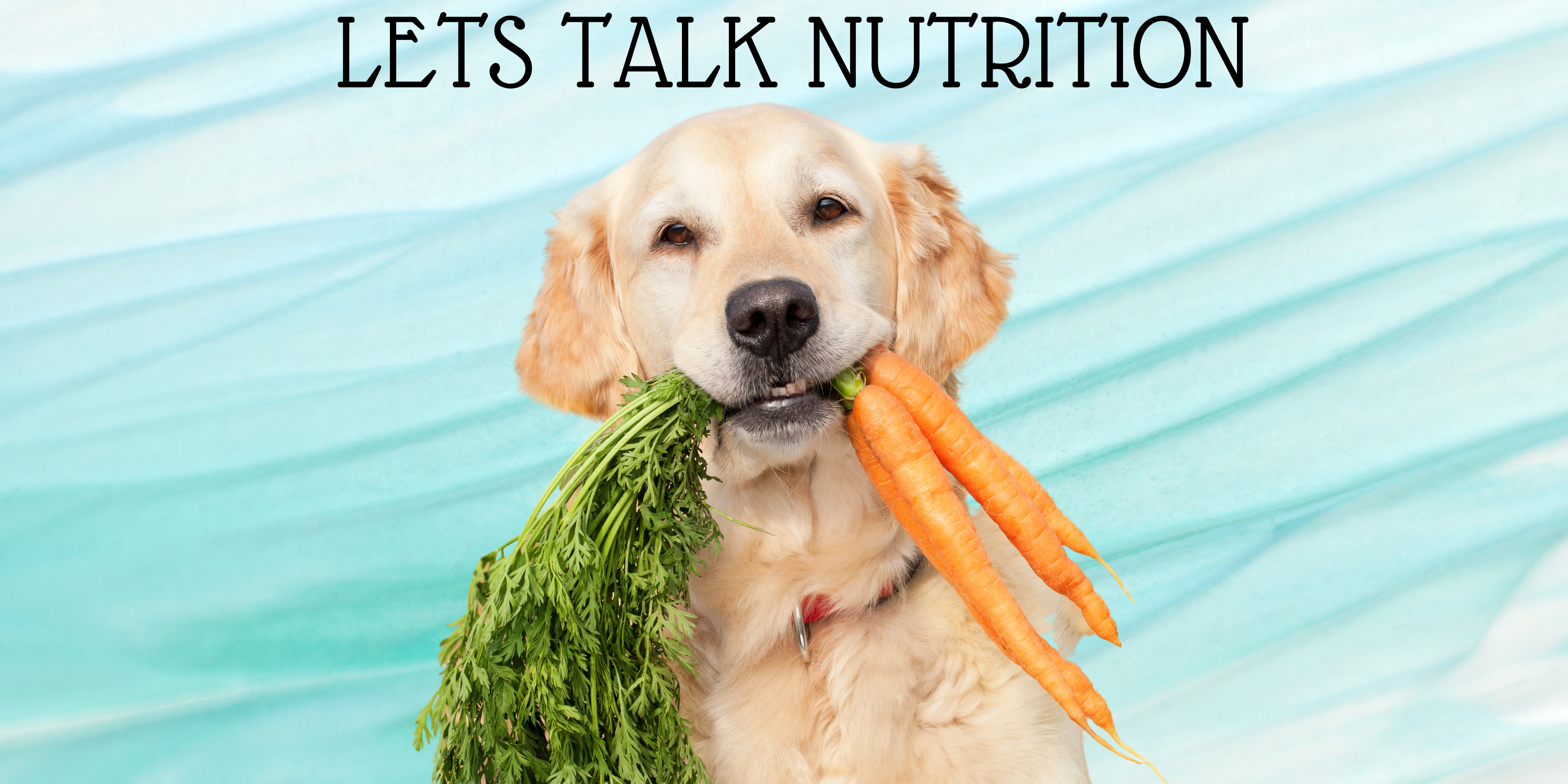 Lets Talk About Pet Food, The Good and The Bad
