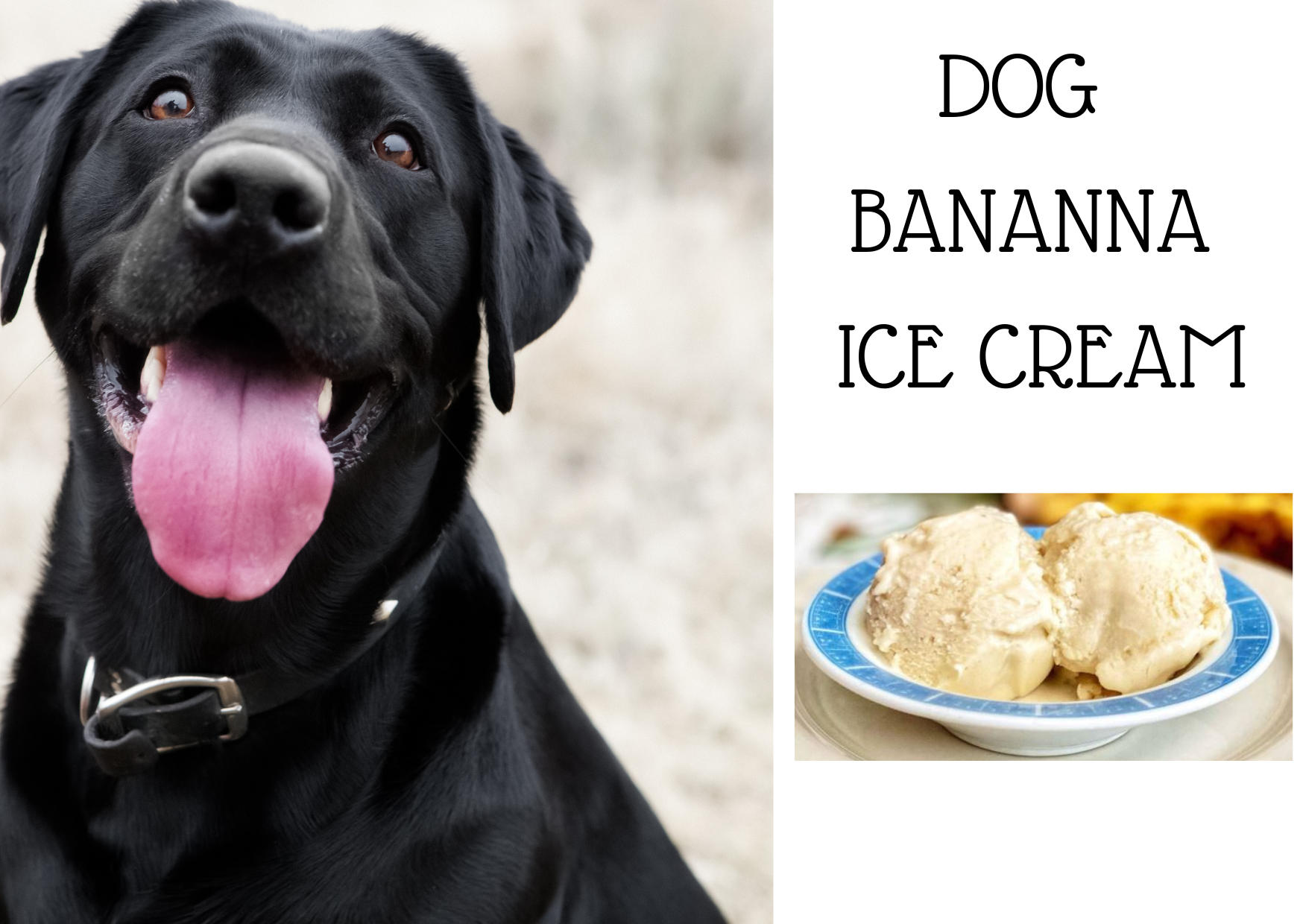 <BR>Bannana Ice Cream For Pets