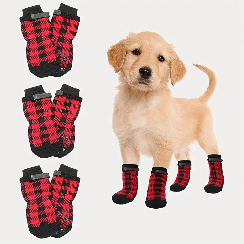 Pet pics top on socks