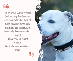 Natural Healing Comfort: Leather and Nylon Copper Collars for Extra Wear and Comfort