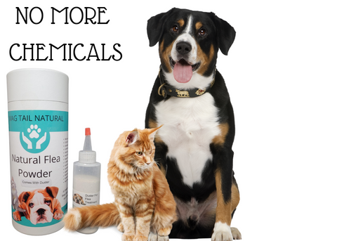 Natural Flea Powder