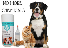 Natural Flea Powder
