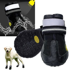 Paw Protection Plus: Dog Socks and Shoes for Happy Feet and Pawlicking Problems