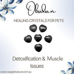 Obsidian Crystal Detoxification and Muscle Issues