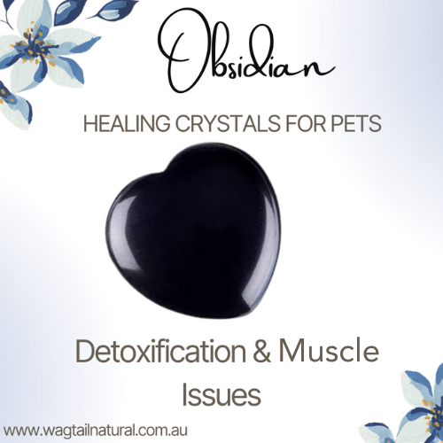 Obsidian Crystal Detoxification and Muscle Issues