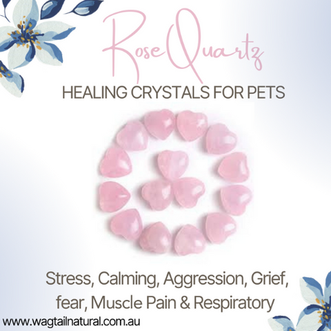 Rose Quartz Crystal Stress, Calming, Aggression, Grief, Fear, Muscle Pain and Respiratory Issues