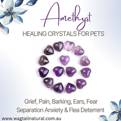 Amethyst Crystal Pain, Barking, Ears, Fear, Separation Anxiety and as a Flea Deterrent