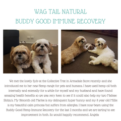 <BR>"Buddy Good Hemp: Immune Recovery and Calming Support"