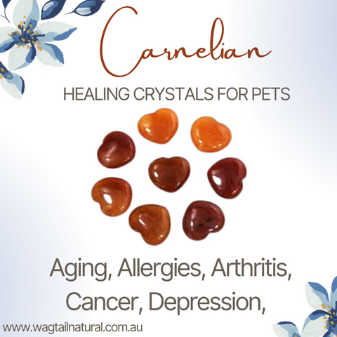 <BR>Carnelian Crystal Aging, Allergies, Arthritis, Cancer and Depression