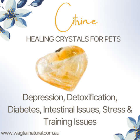 Citrine Crystal Depression, Detoxification, Diabetes, Intestinal Issues, Stress and Training Issues