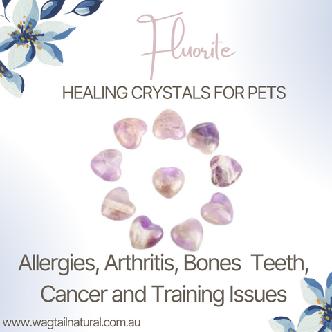 Fluorite Allergies, Arthritis, Bones, Teeth, Cancer and Training Issues