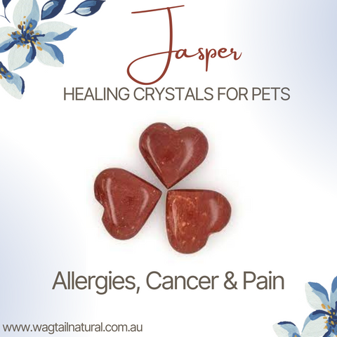 <BR>Jasper Crystal Allergies, cancer and Pain
