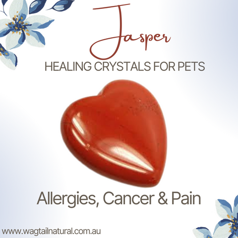 <BR>Jasper Crystal Allergies, cancer and Pain