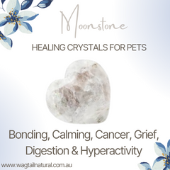 Moonstone Crystal Bonding, Calming, Cancer, Grief, Digestion and Hyperactivity
