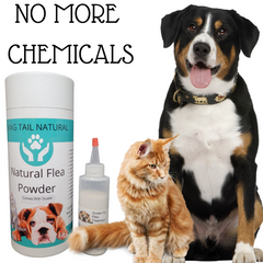 Natural Flea Powder for Pets