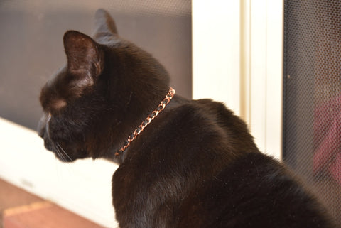 <br> Cat Copper Collars