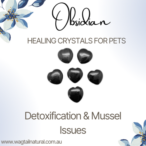 Obsididan Crysrtal Detoxification and Mussel Issues